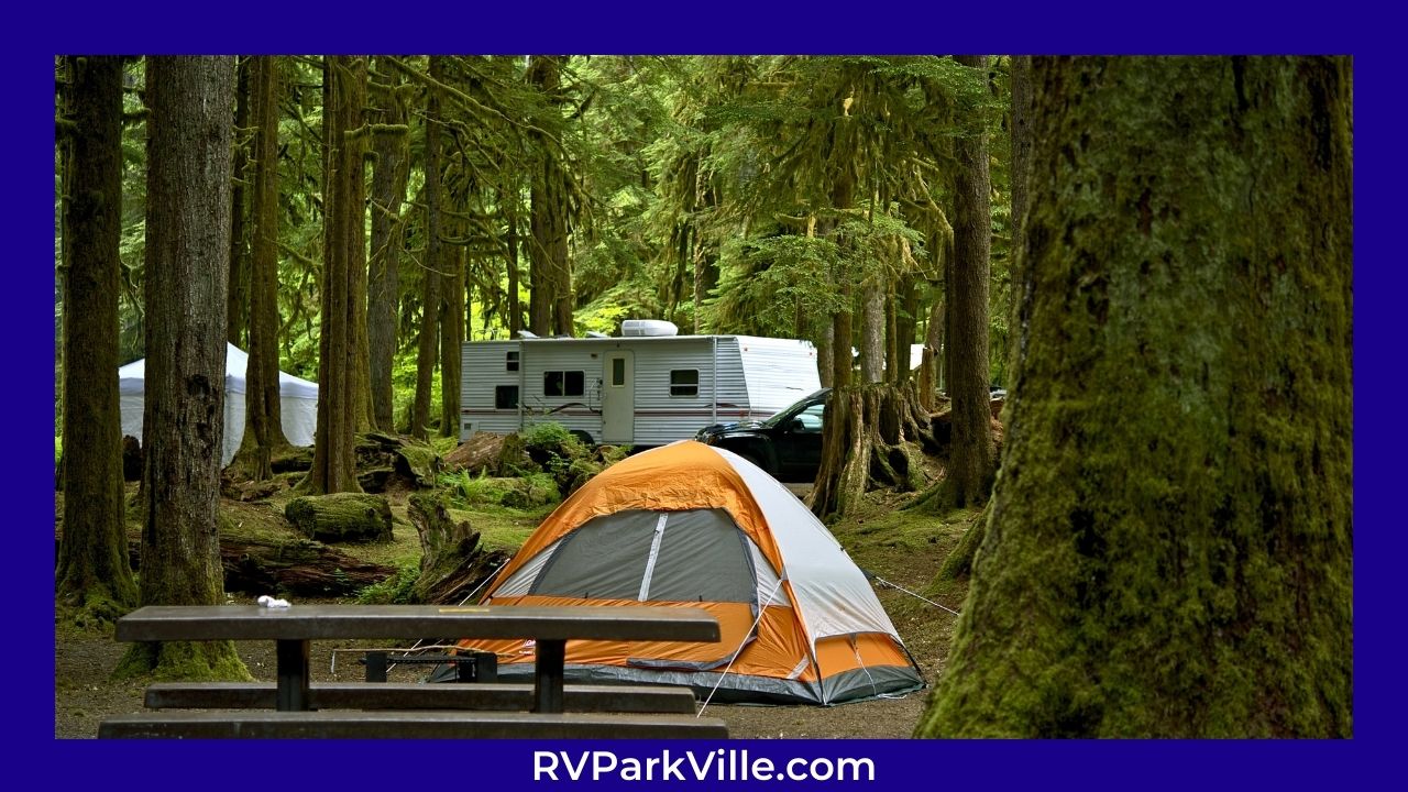 The Best RV Parks For Hiking And Nature Enthusiasts